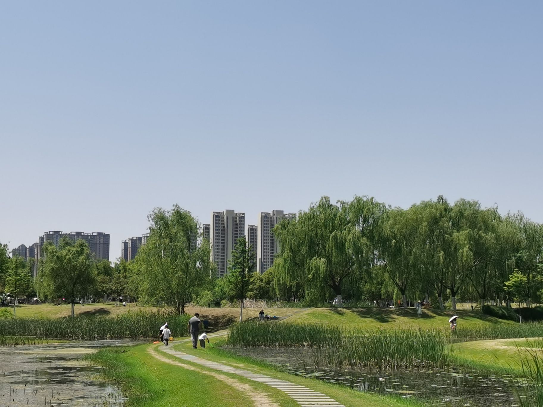 瑶海湾湿地公园-露营地