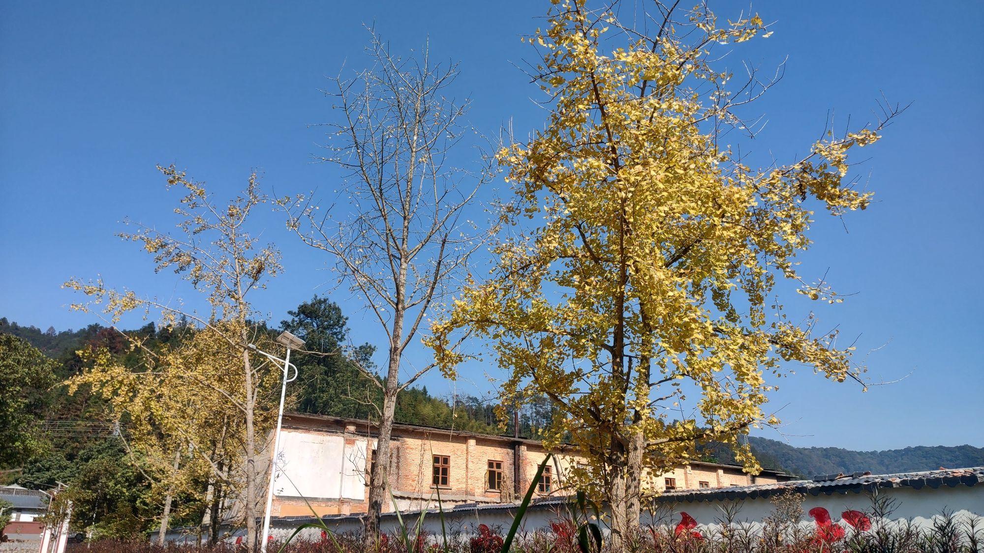 澜河镇七四三矿纪念公园旅行图片 2