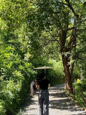 铁路公园旅行图片 2