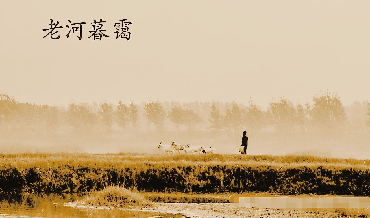 洙赵清河老河遗址旅行图片 1