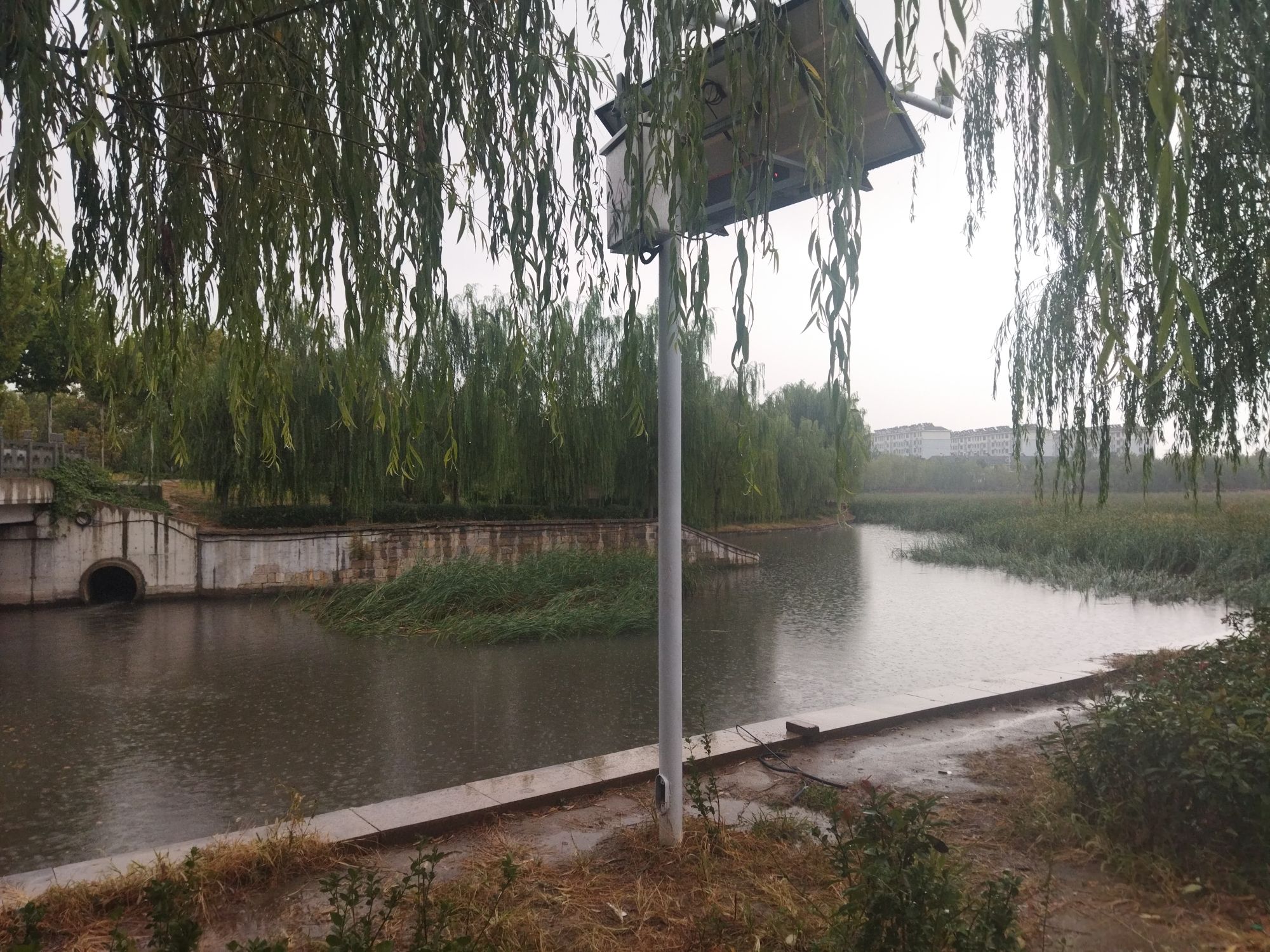 胜利湖公园旅行图片 3