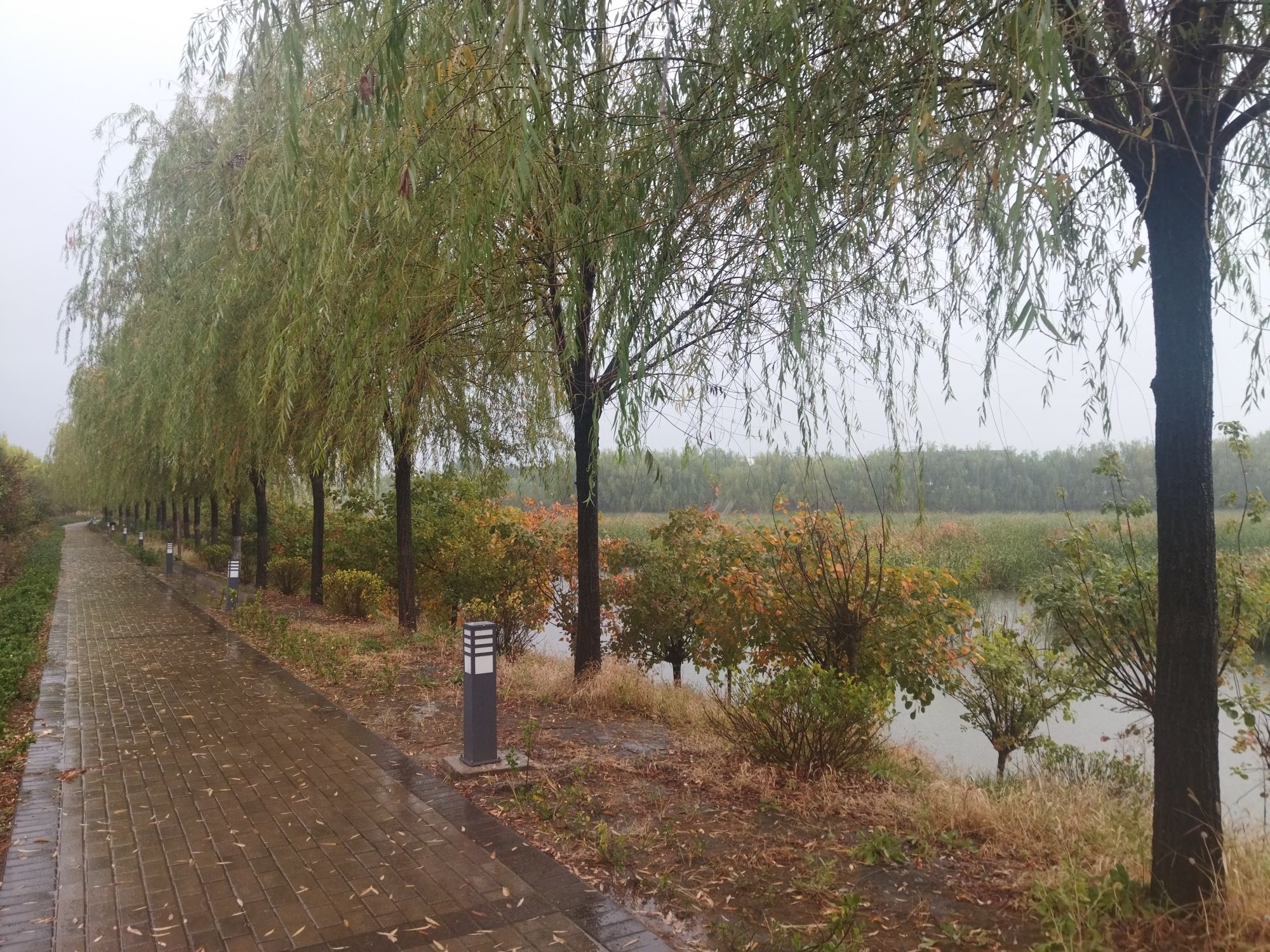 胜利湖公园旅行图片 2