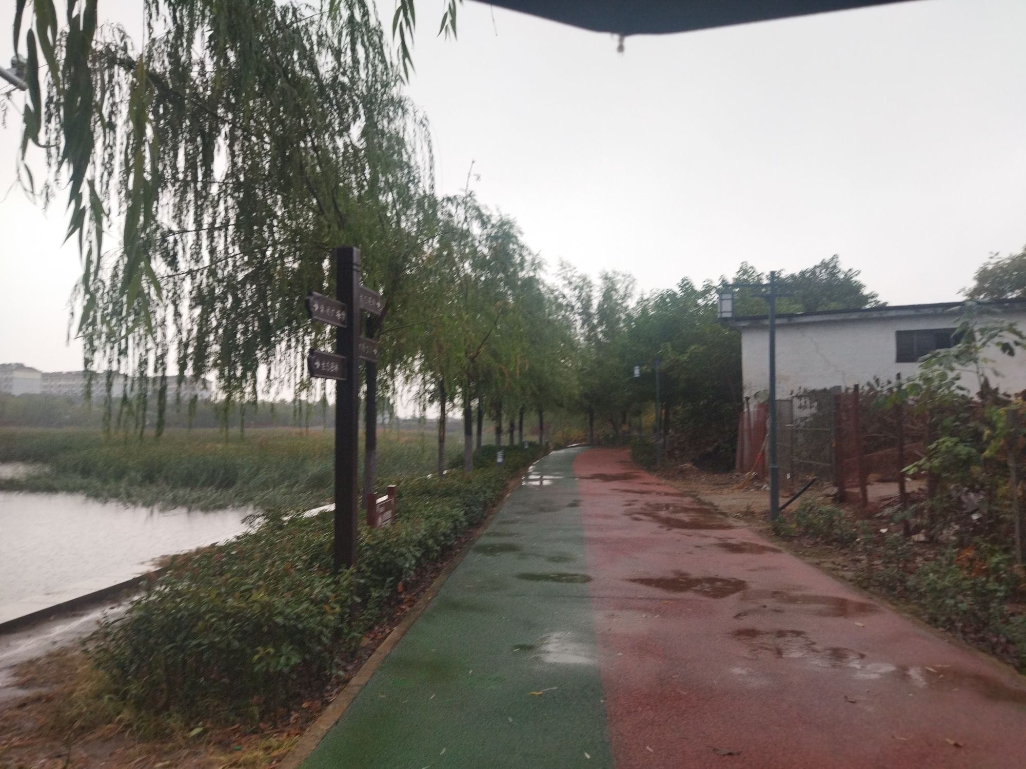 胜利湖公园旅行图片 1