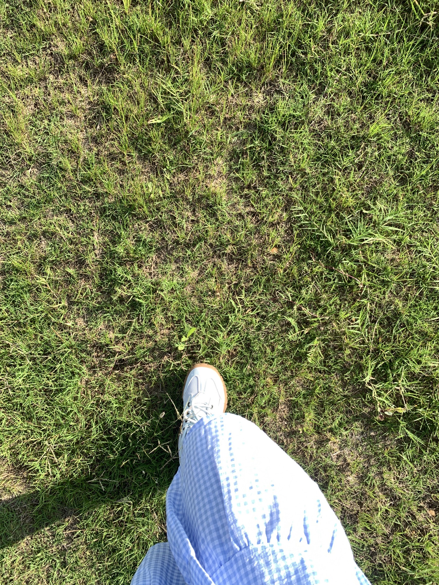 青花瓷公园旅行图片 1