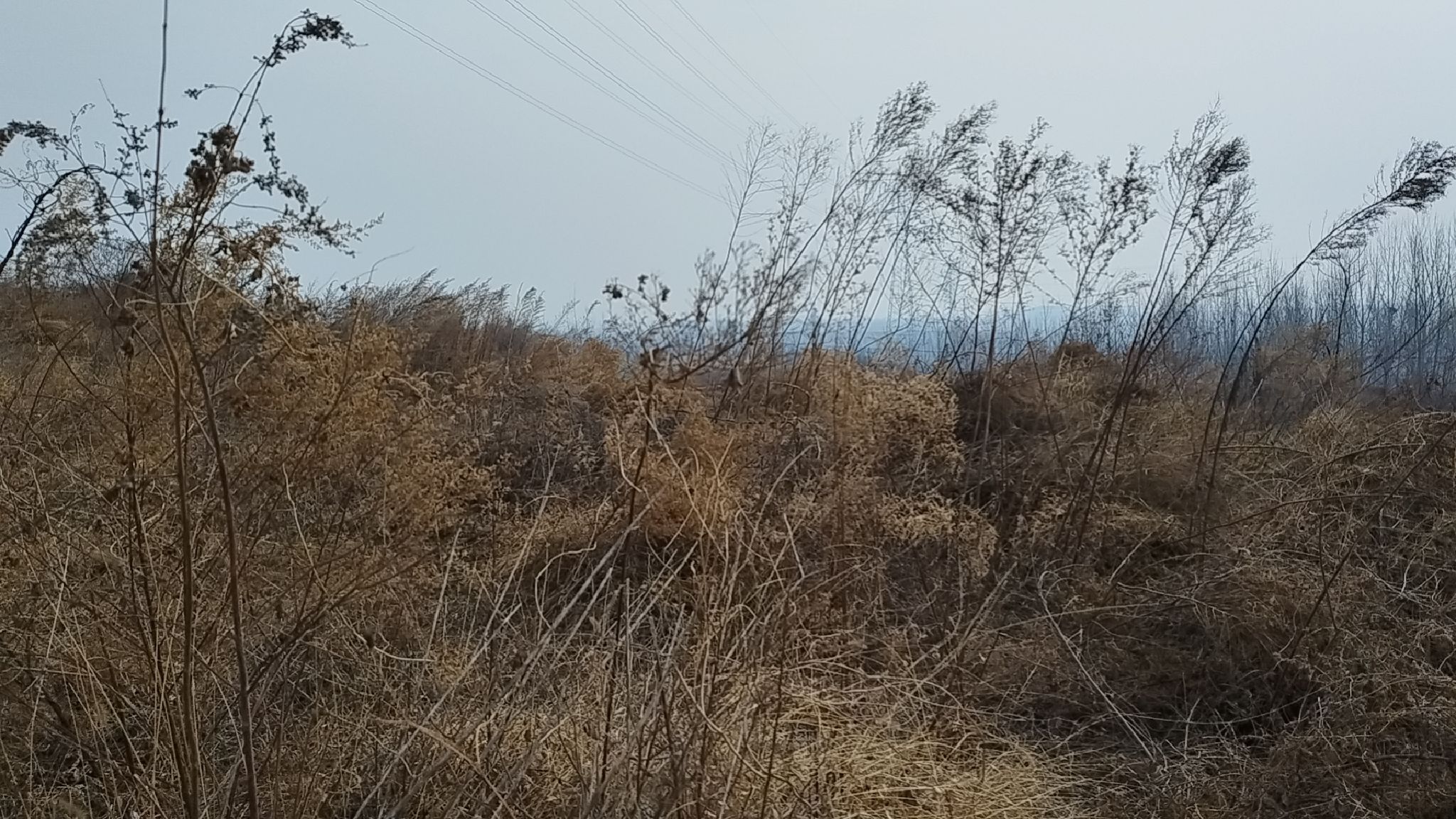 驸马沟八十岗旅行图片 1