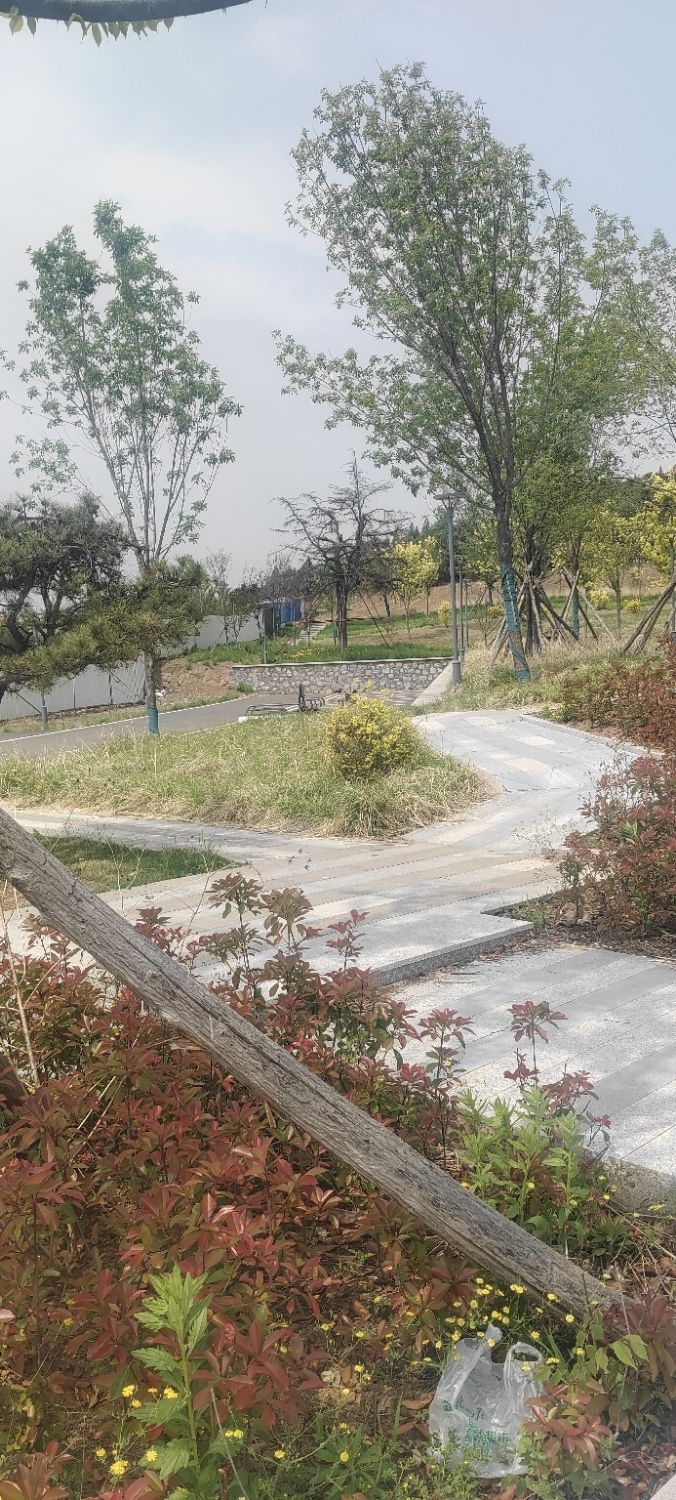 东莞镇莲花山公园旅行图片 3