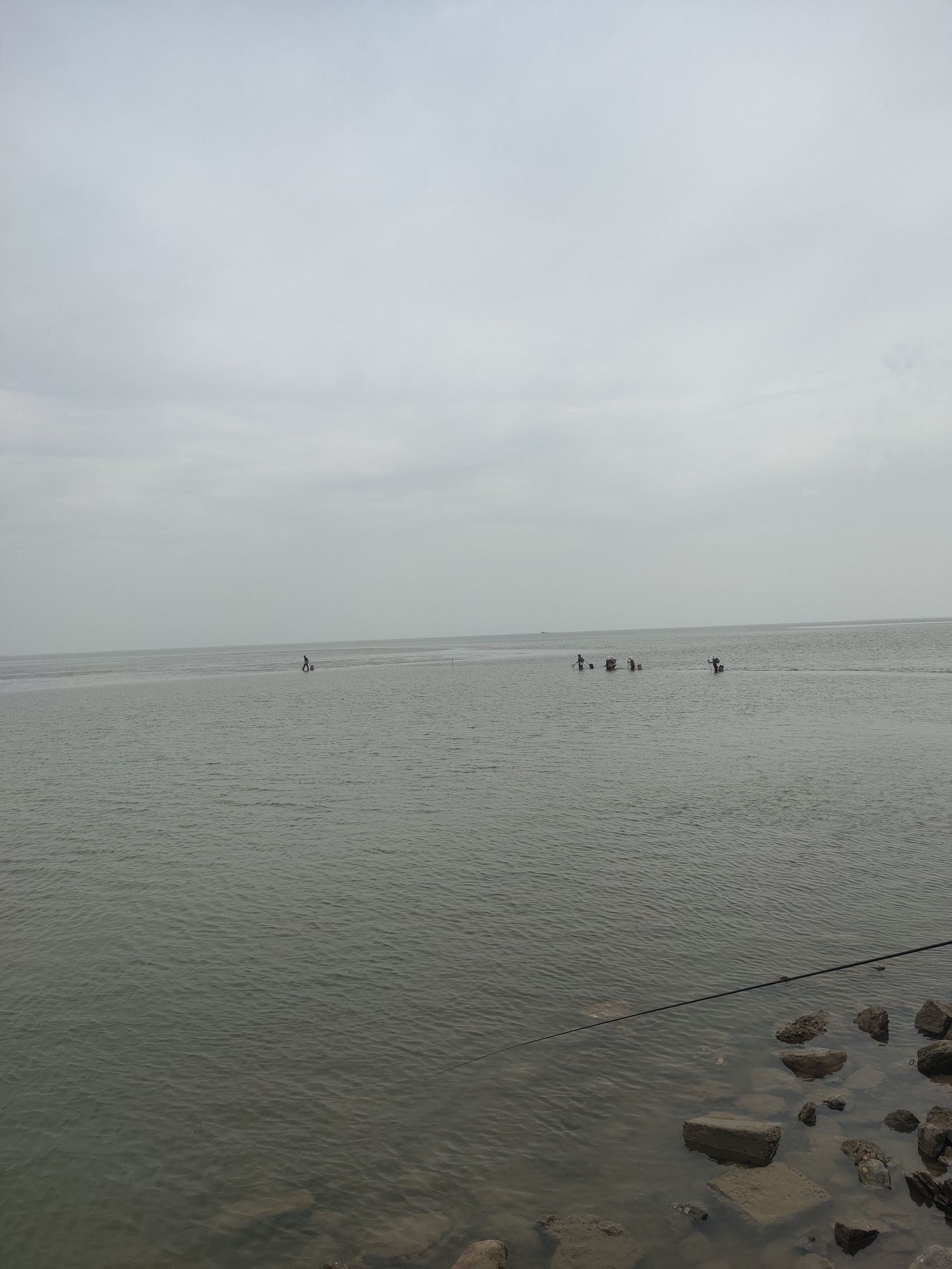 羊口海滩旅行图片 3