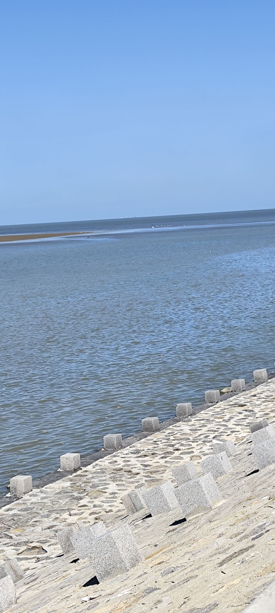 羊口海滩旅行图片 1