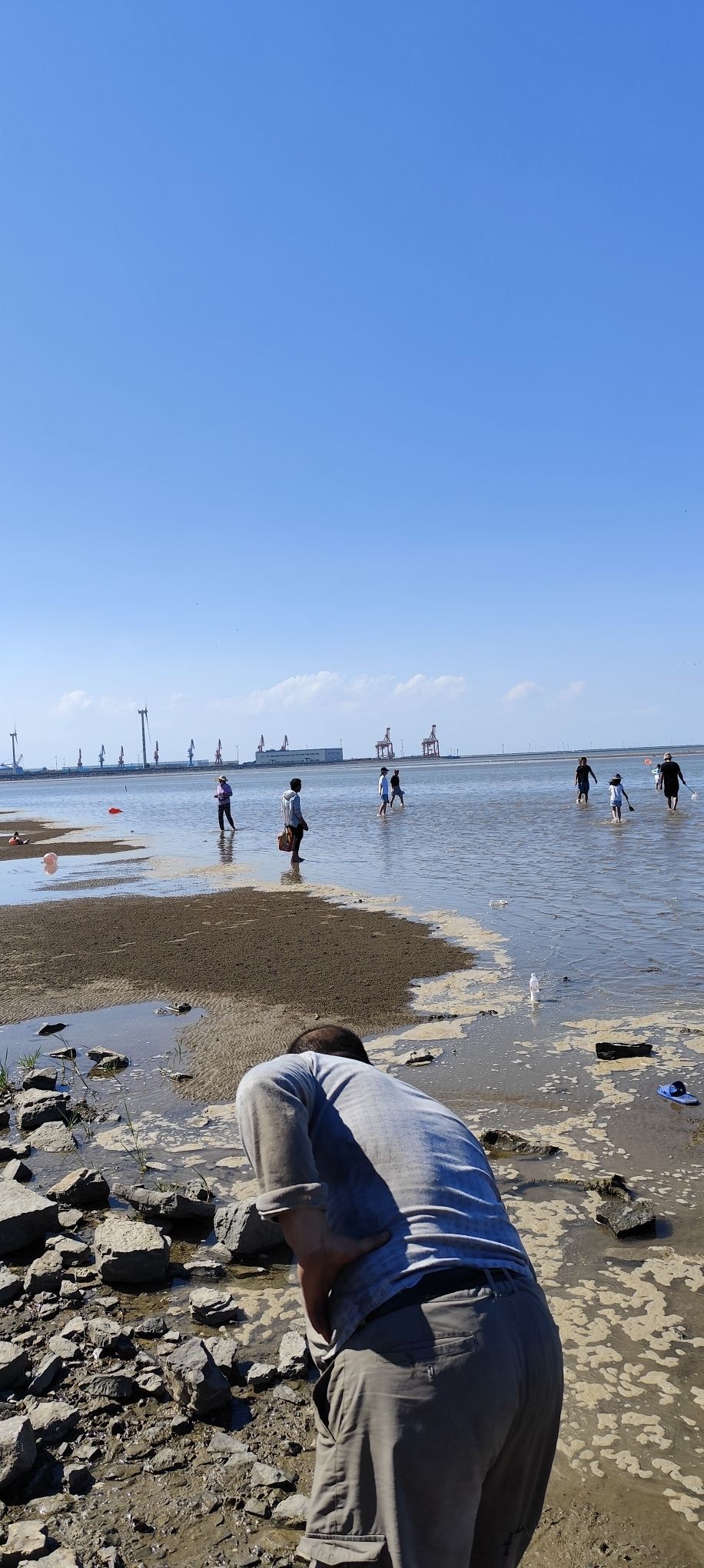 羊口海滩旅行图片 2