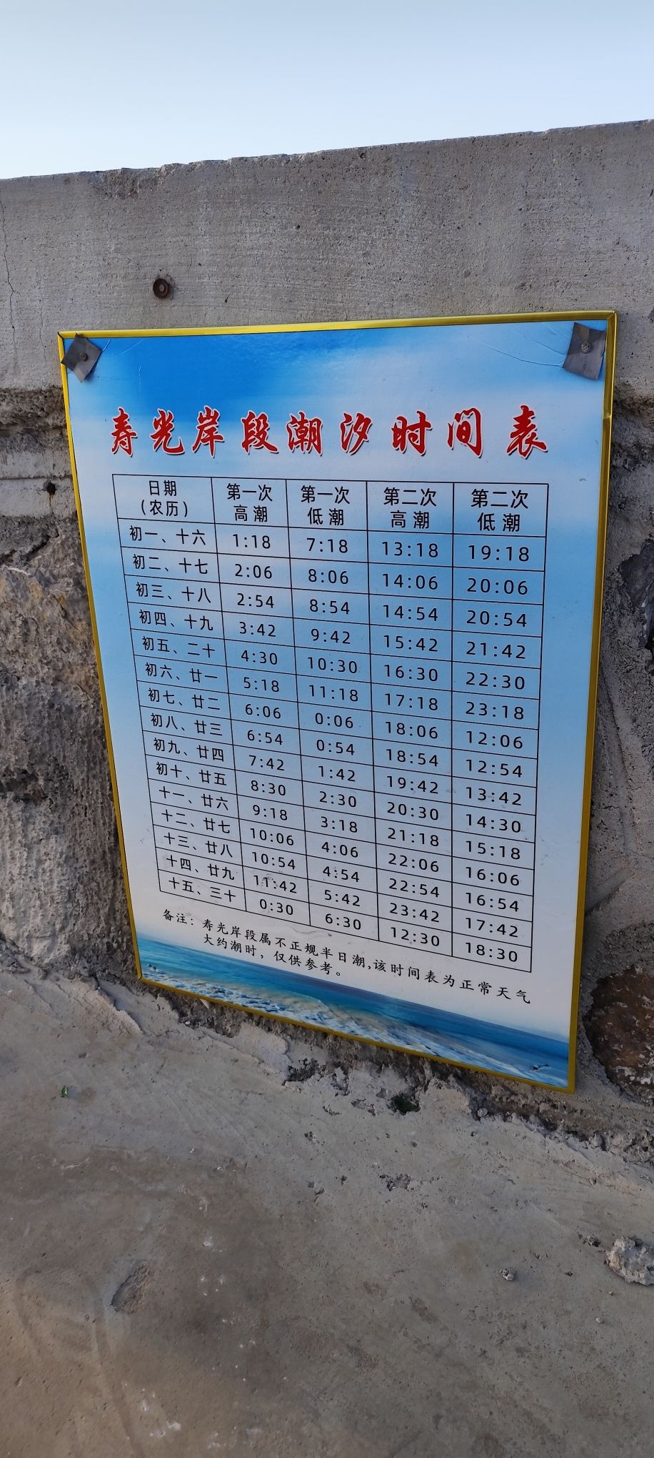 羊口海滩旅行图片 3