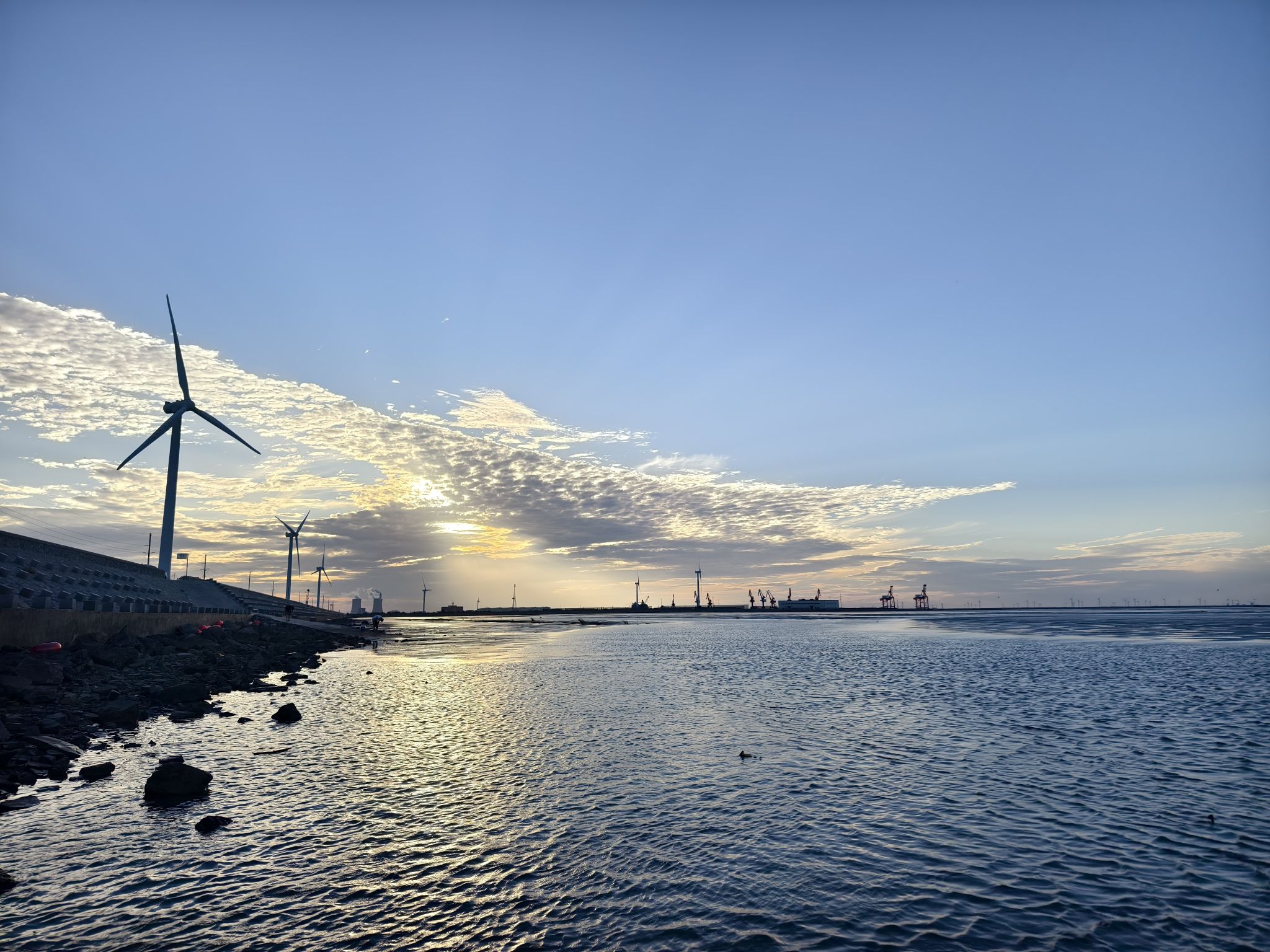 羊口海滩旅行图片 1