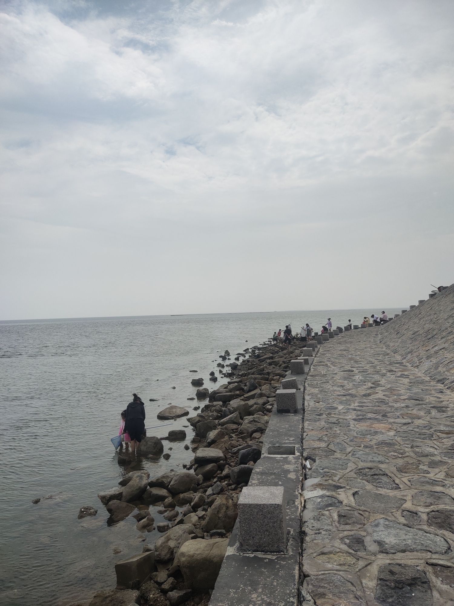 羊口海滩旅行图片 2