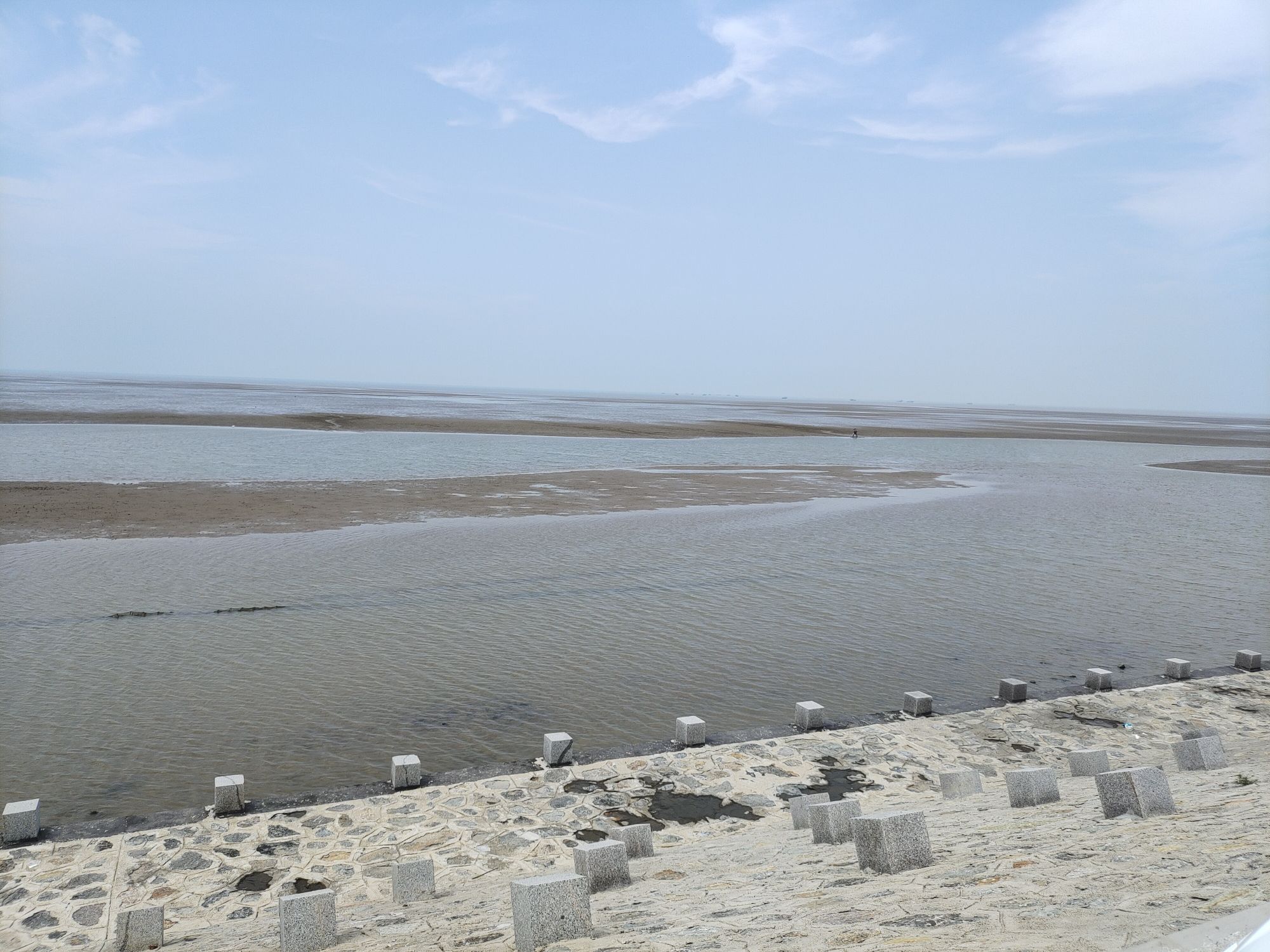 羊口海滩旅行图片 1