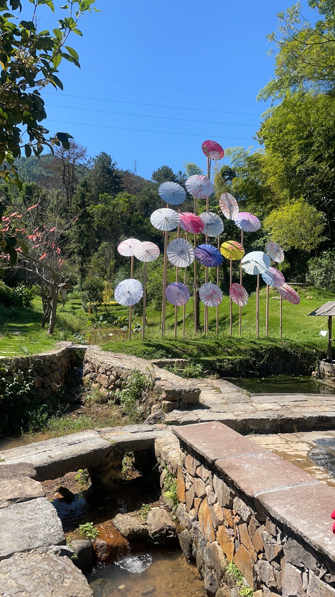 秀水爱情谷旅行图片 1