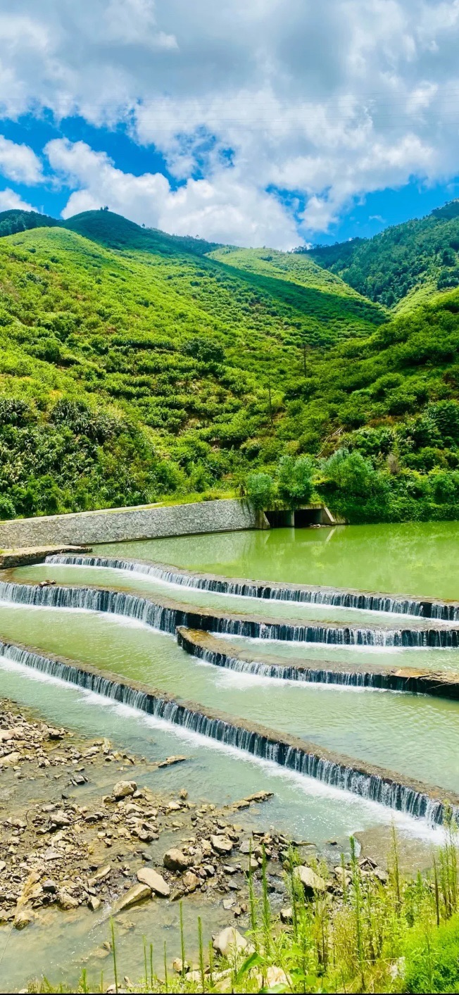 双合李花谷旅行图片 2