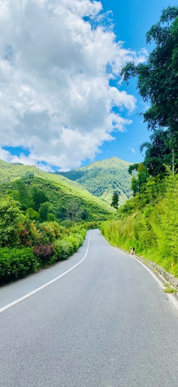 双合李花谷旅行图片 3
