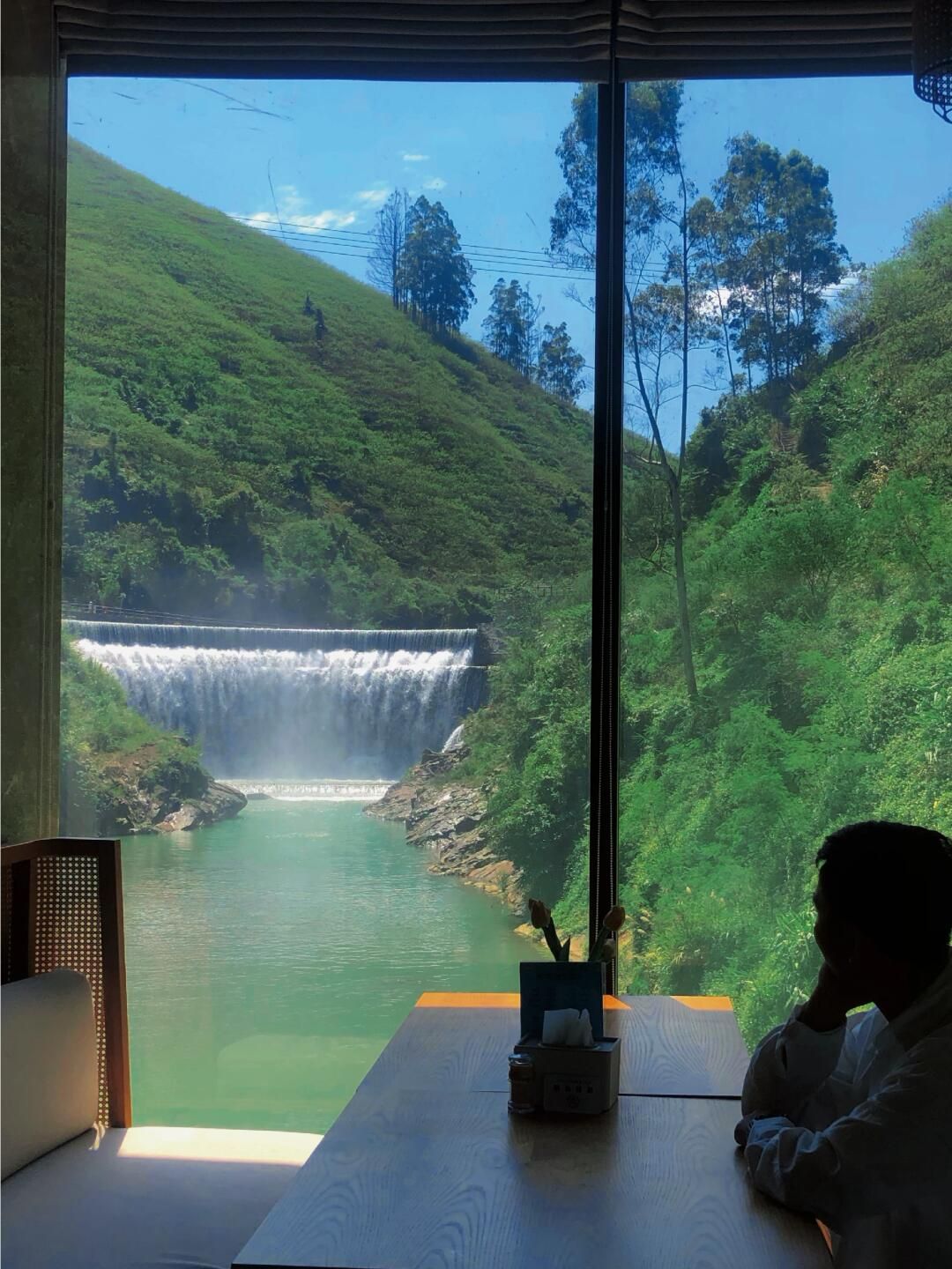 双合李花谷旅行图片 1