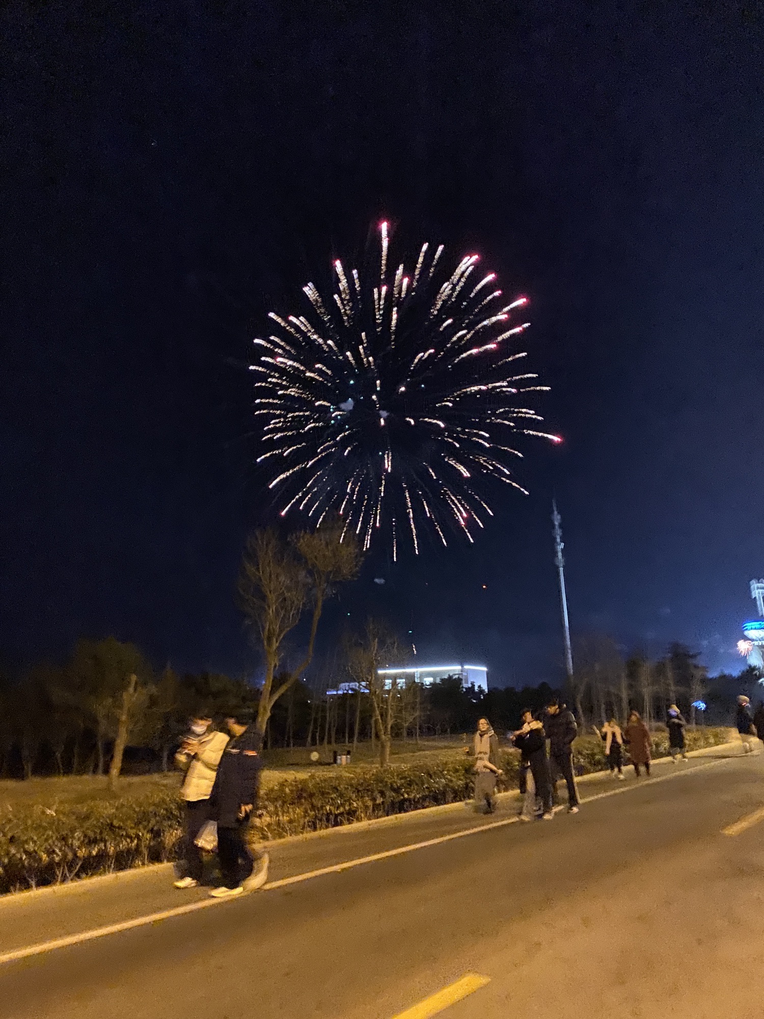 桃花岛风景区旅行图片 1