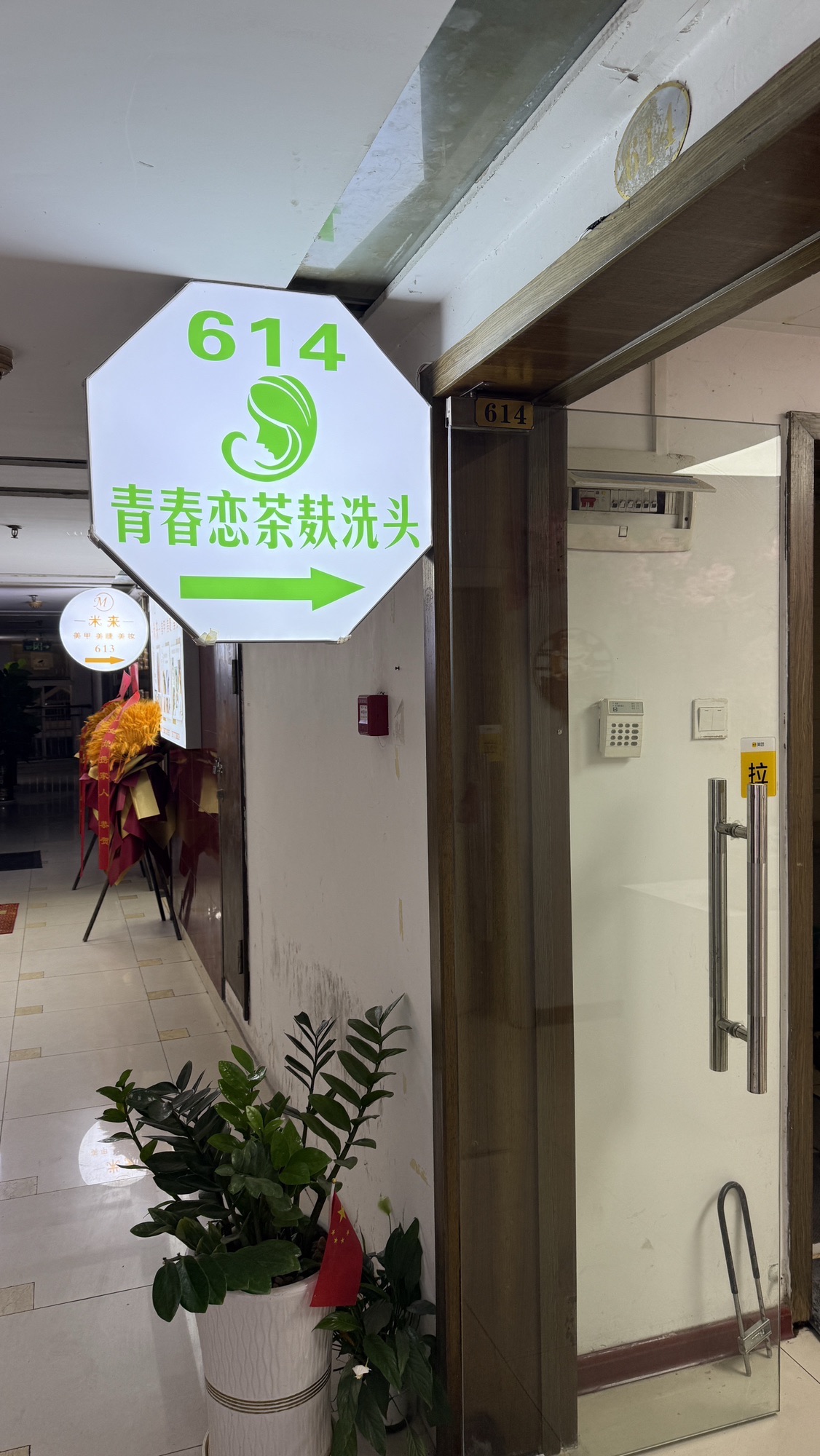 青春恋茶麸洗头