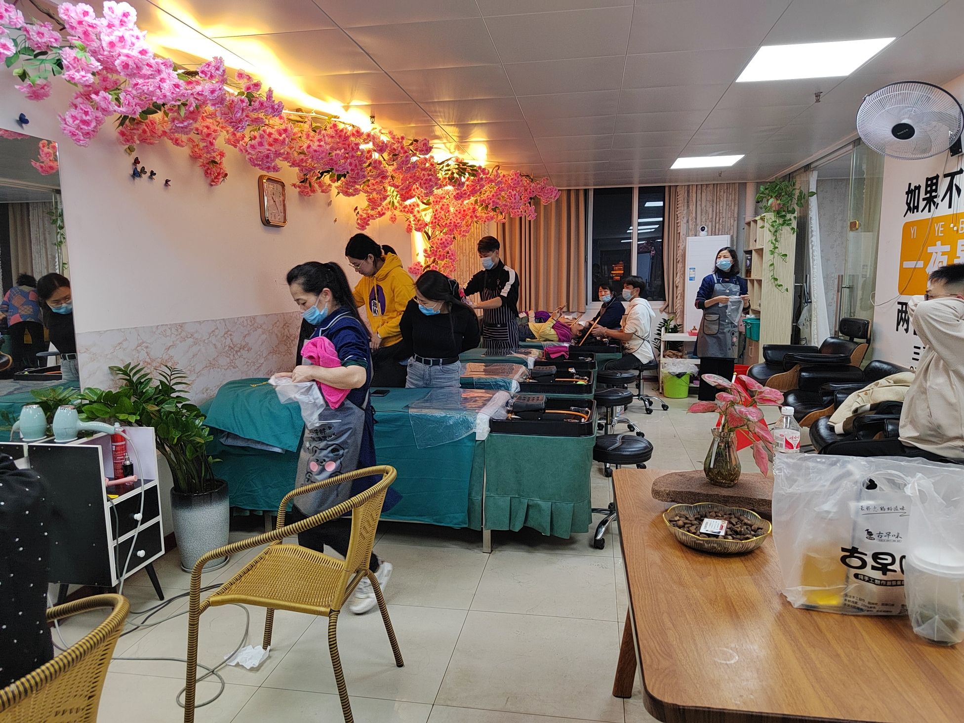 青春恋茶麸洗头