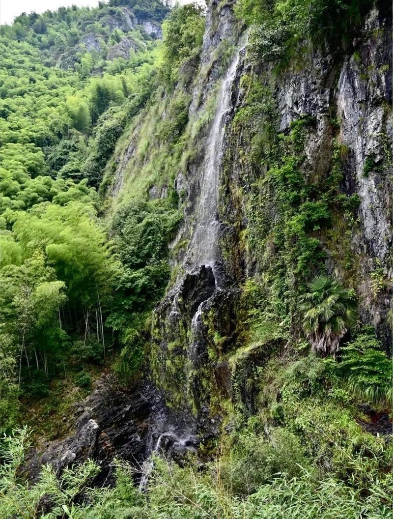 章里古道旅行图片 1