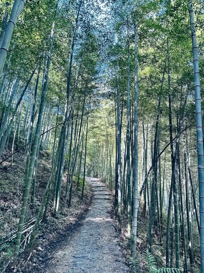 章里古道旅行图片 2