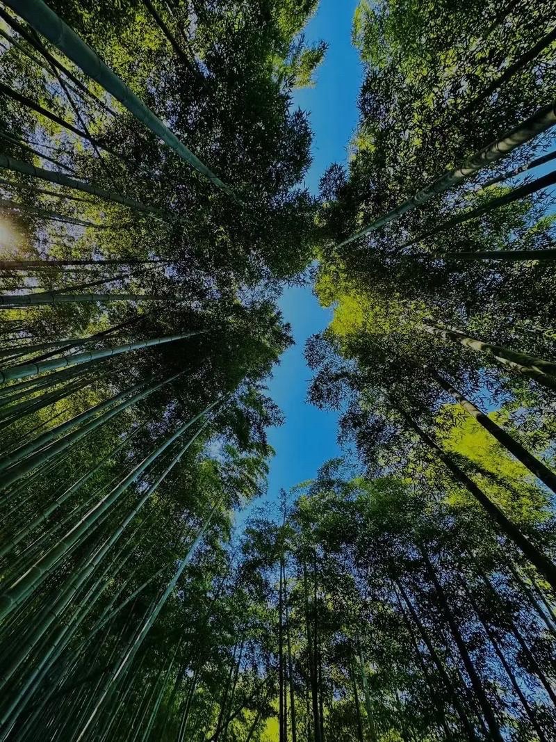 章里古道旅行图片 3