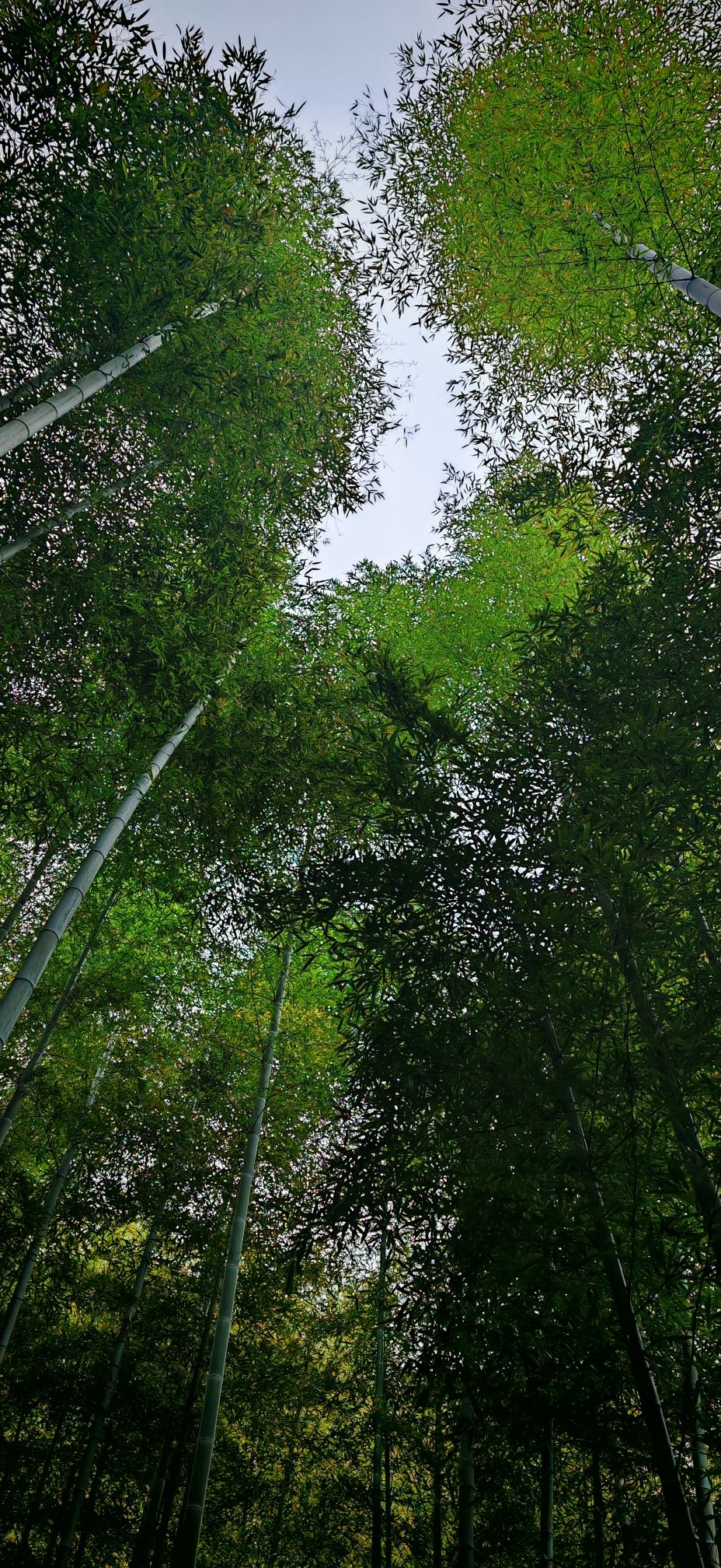 章里古道旅行图片 3
