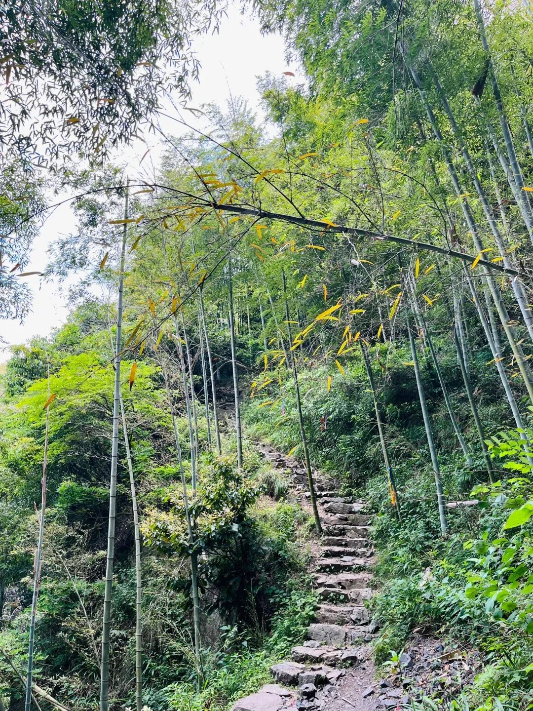 章里古道旅行图片 1