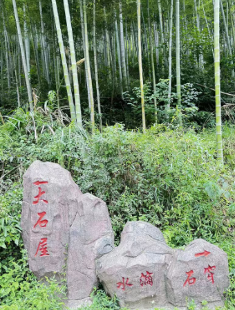 章里古道旅行图片 3