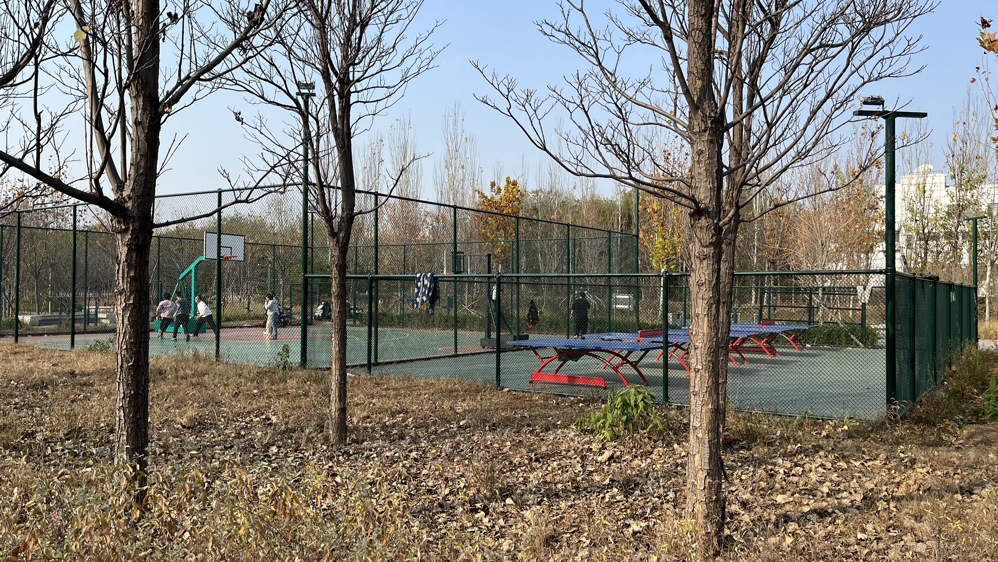 龙锦社区公园旅行图片 3