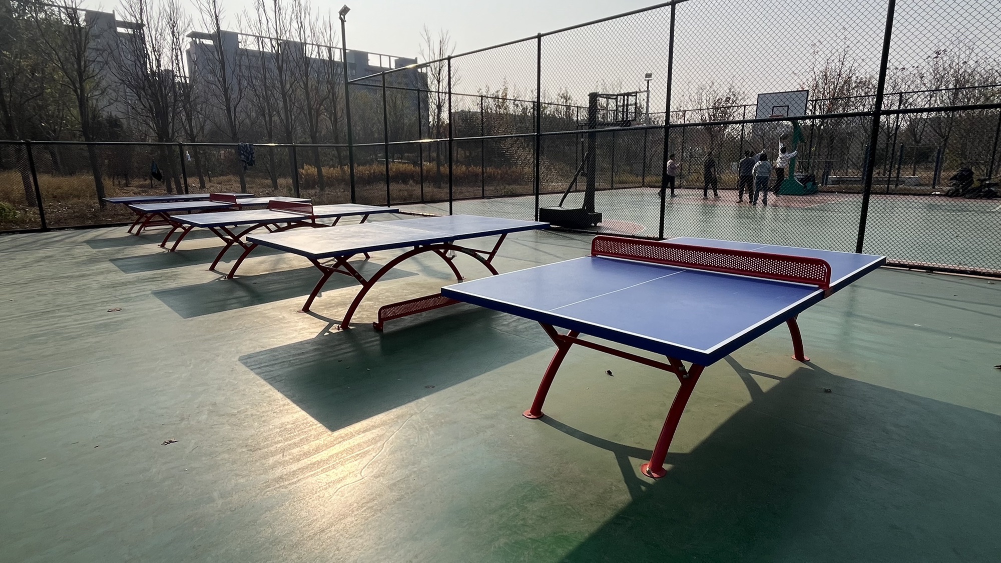 龙锦社区公园旅行图片 2