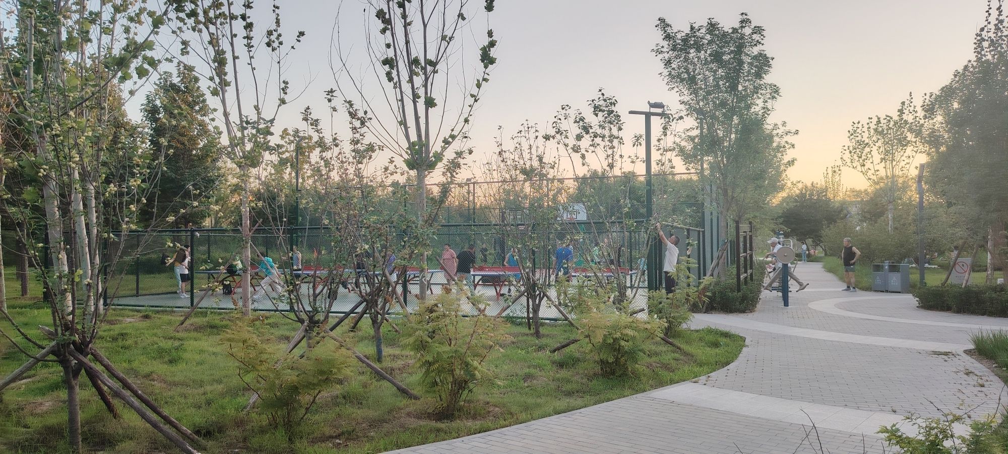 龙锦社区公园旅行图片 3