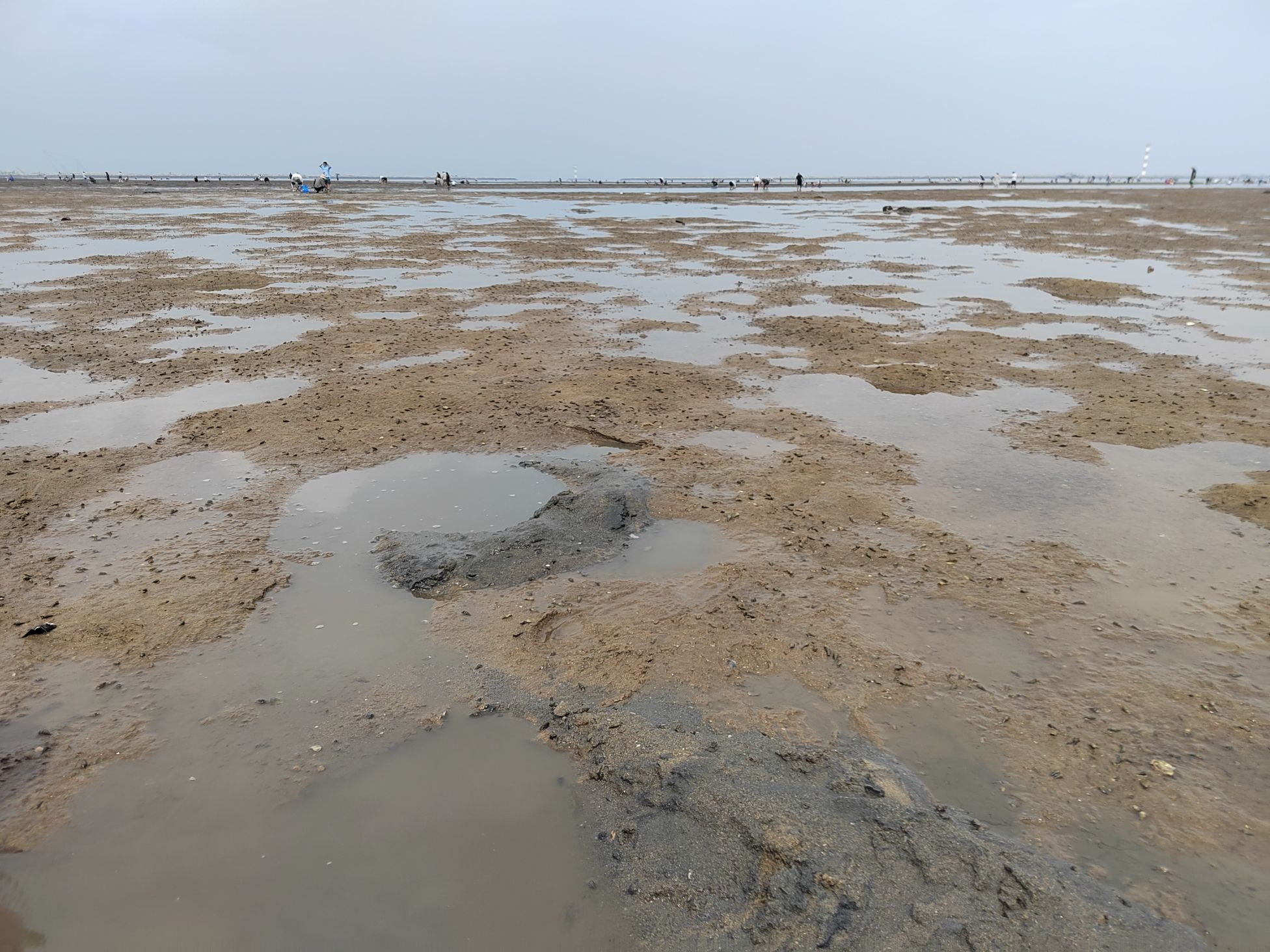 仙人岛北坝旅行图片 1
