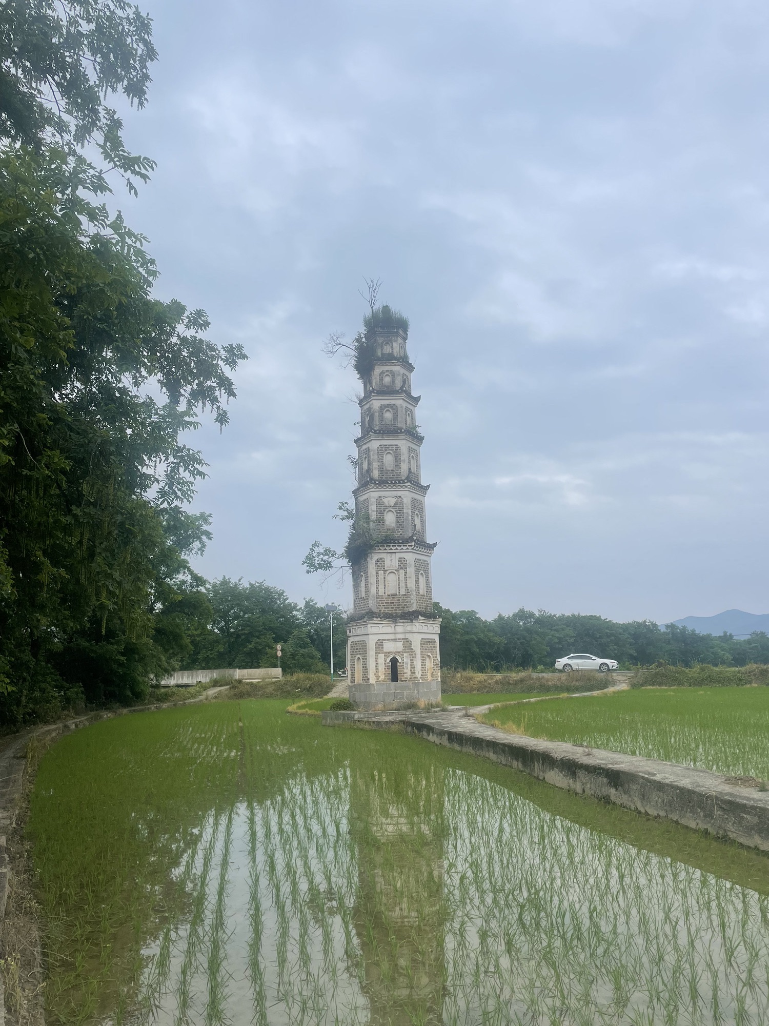 青云塔旅行图片 1