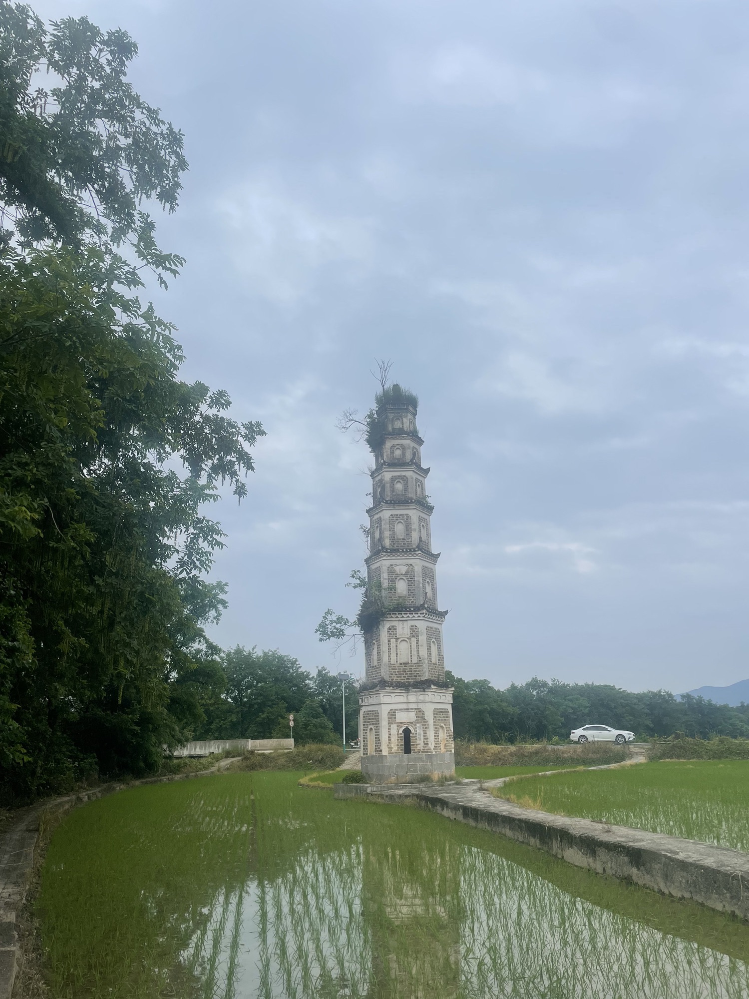 青云塔旅行图片 2