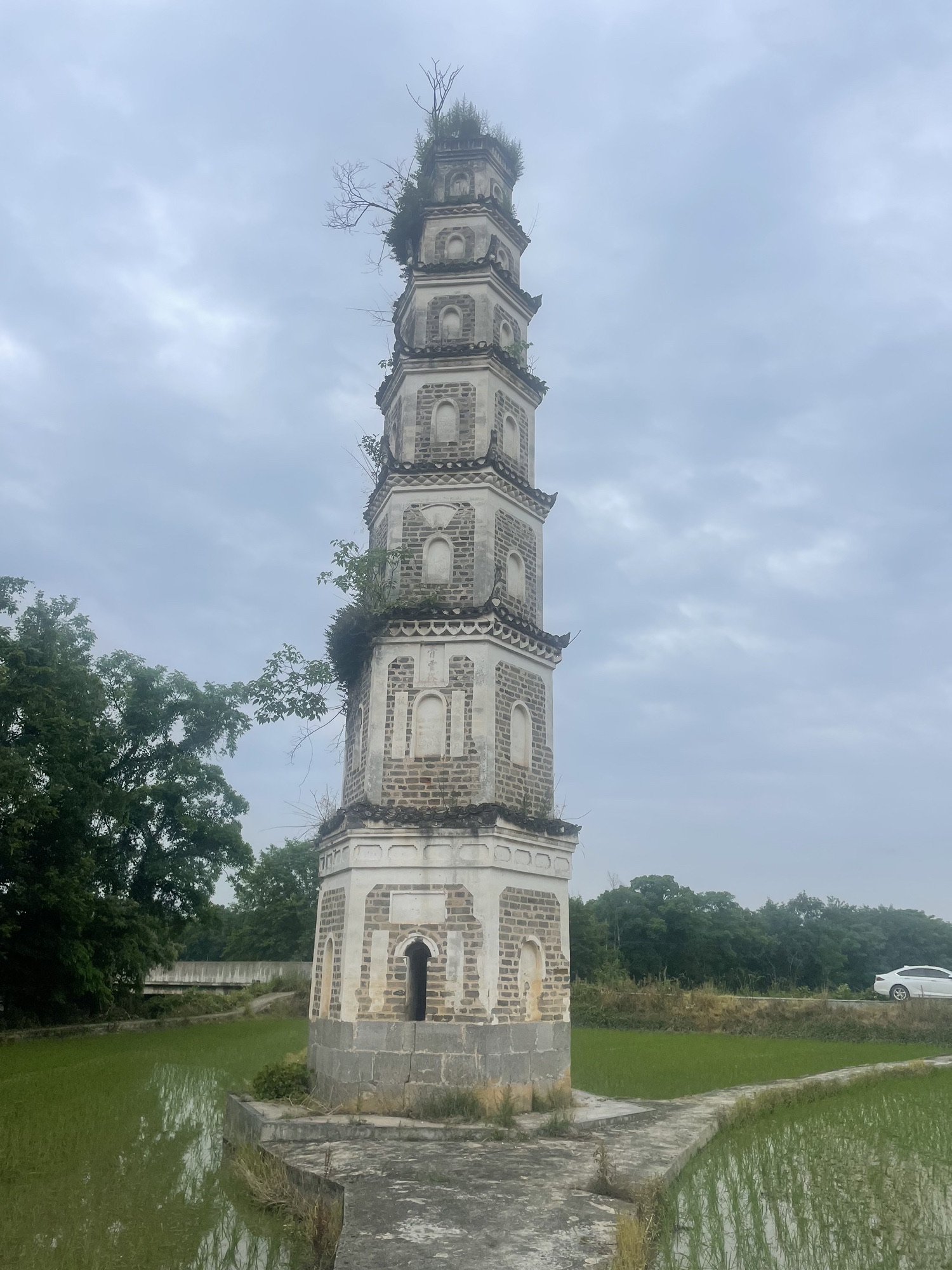 青云塔旅行图片 3