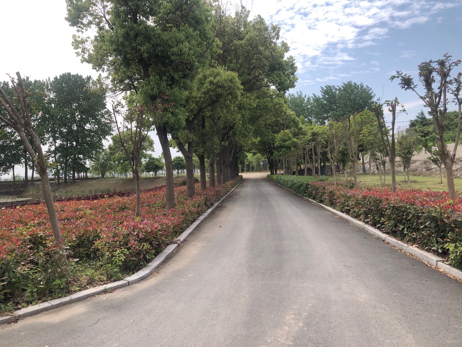 百荷园旅行图片 3