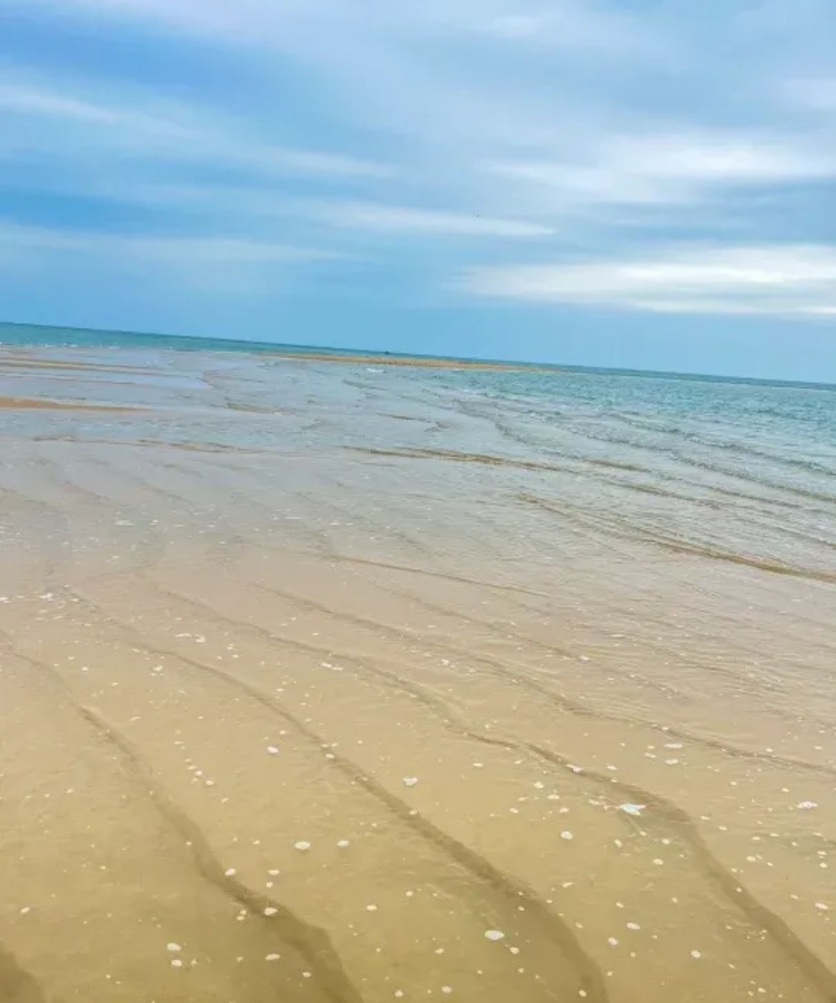 沙角旋海滩旅行图片 3