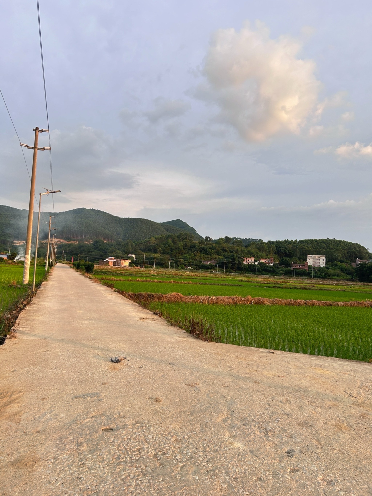陀埇村文体广场旅行图片 1
