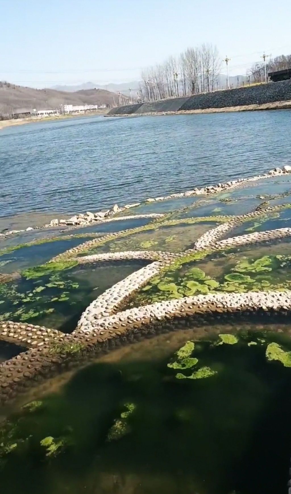 鱼鳞坝旅行图片 1
