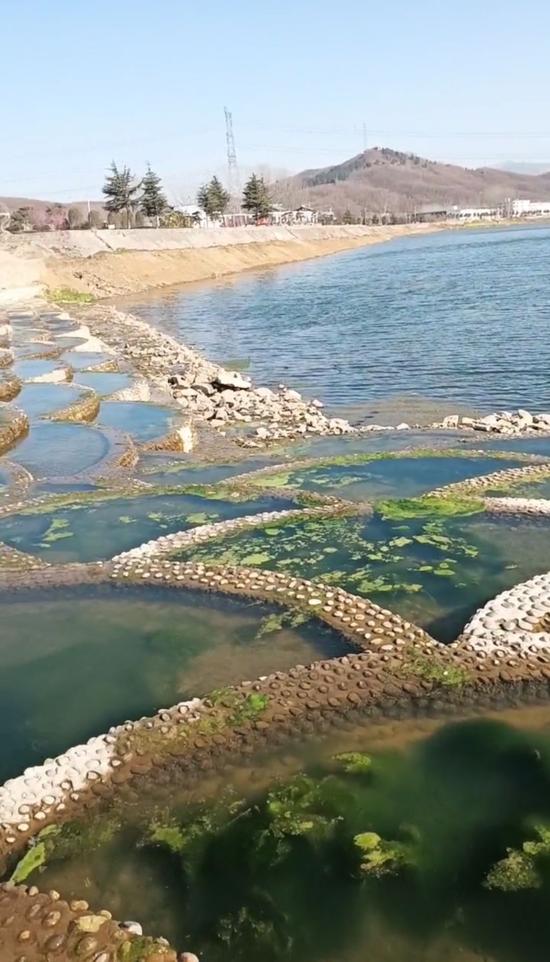 鱼鳞坝旅行图片 3