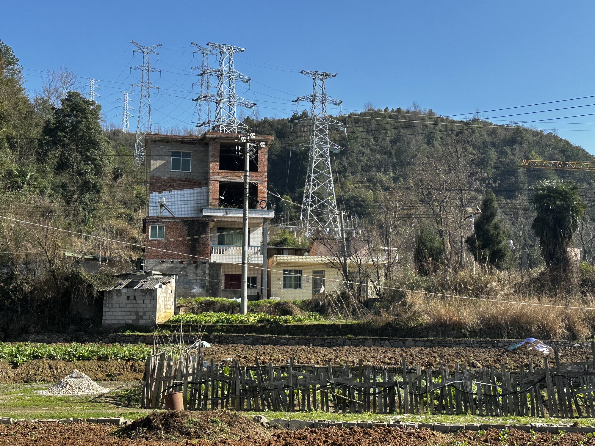 白云区青岗林旅行图片 2