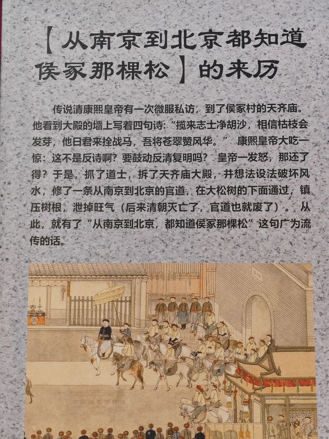 侯冢古柏旅行图片 2