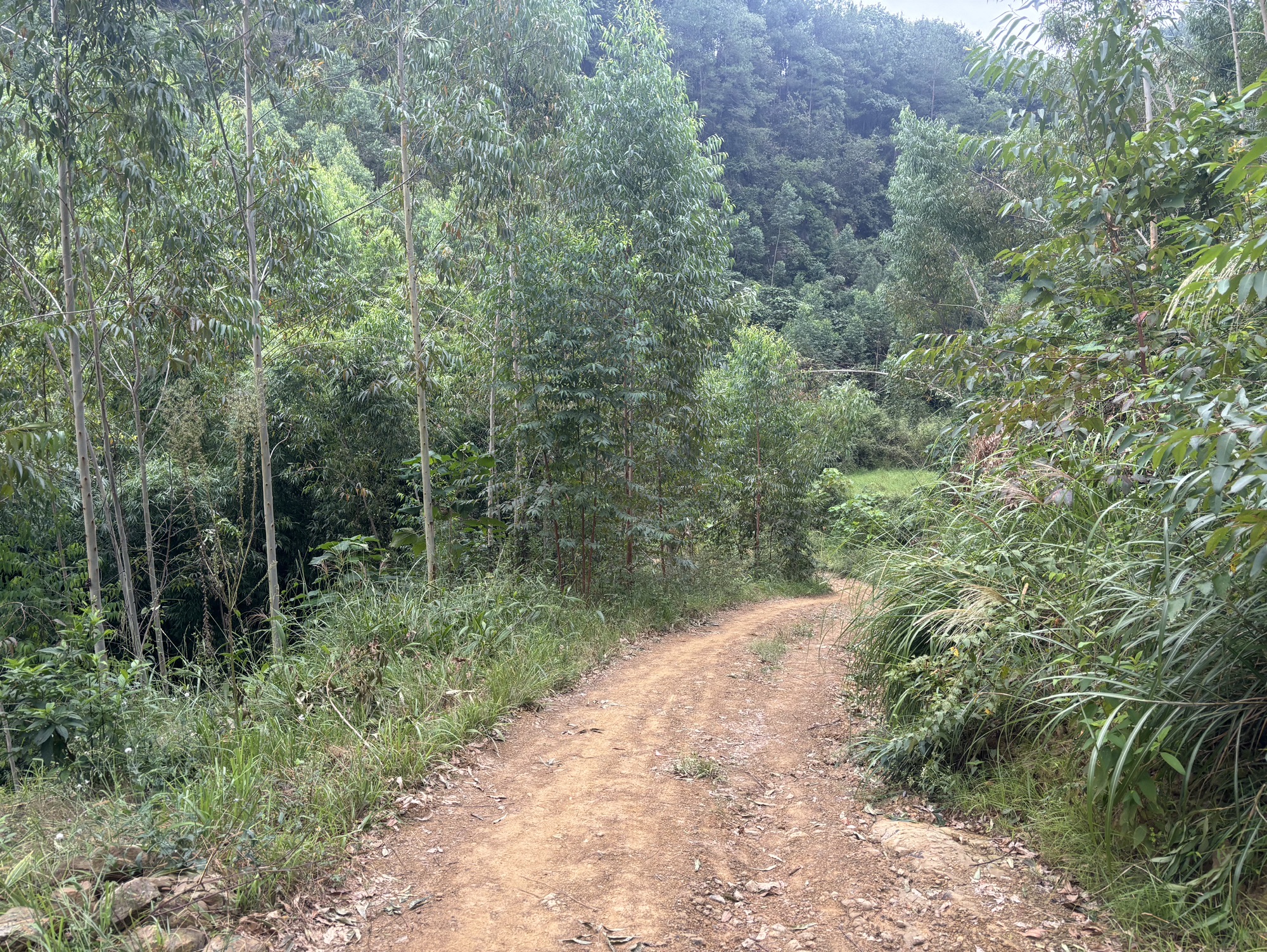 响水洞大峡谷旅行图片 2
