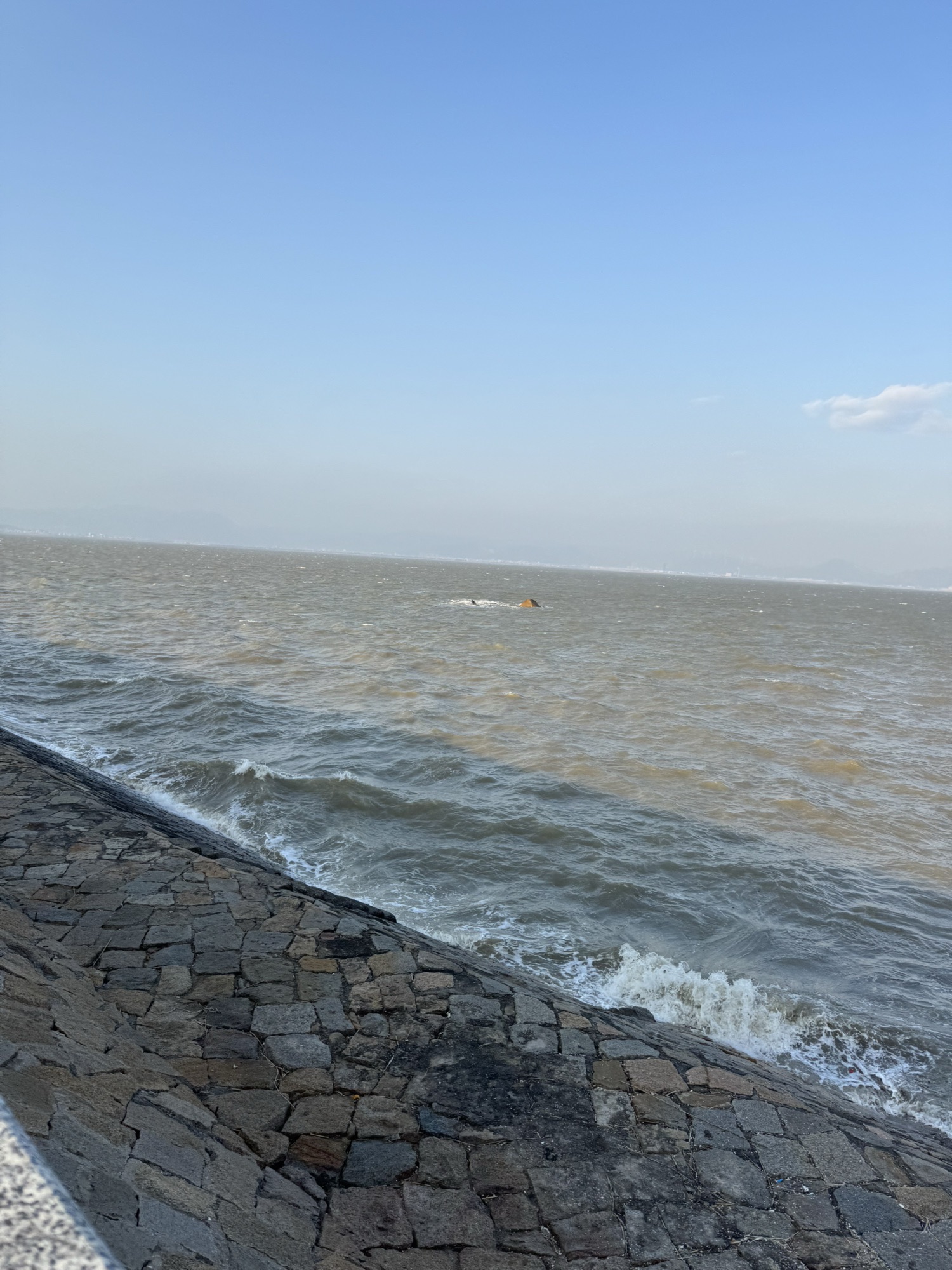 东营观景台旅行图片 2