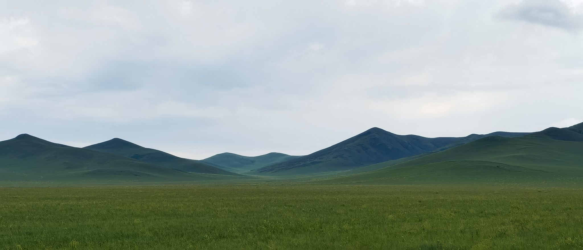 西乌珠穆沁旗草原99号公路起点旅行图片 2