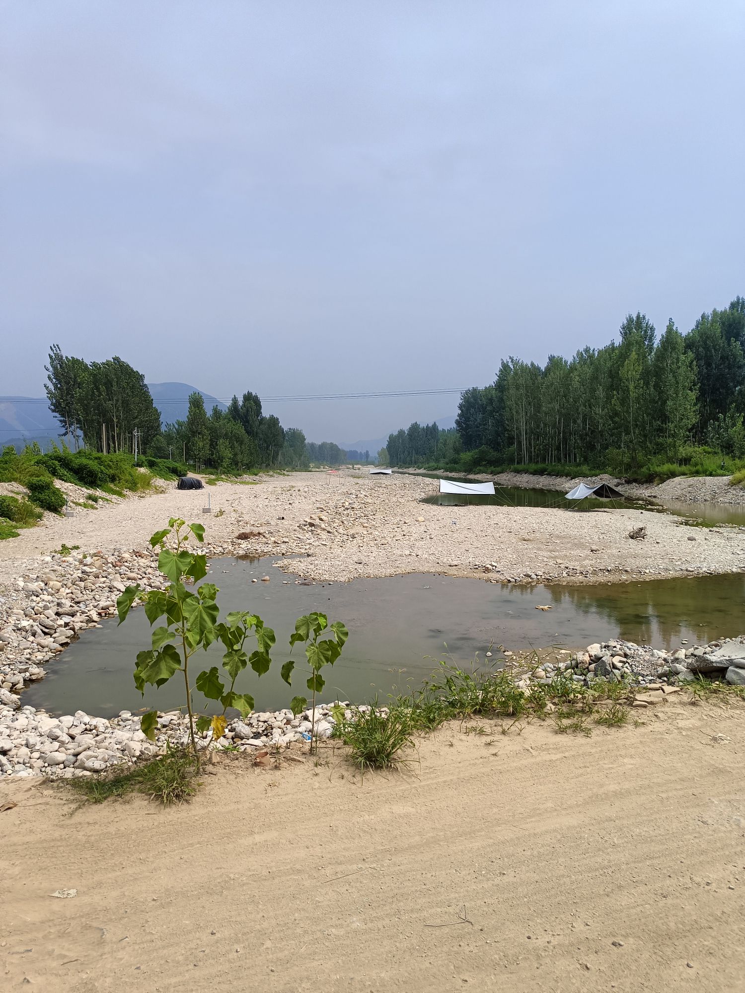 易水河畔景区旅行图片 2