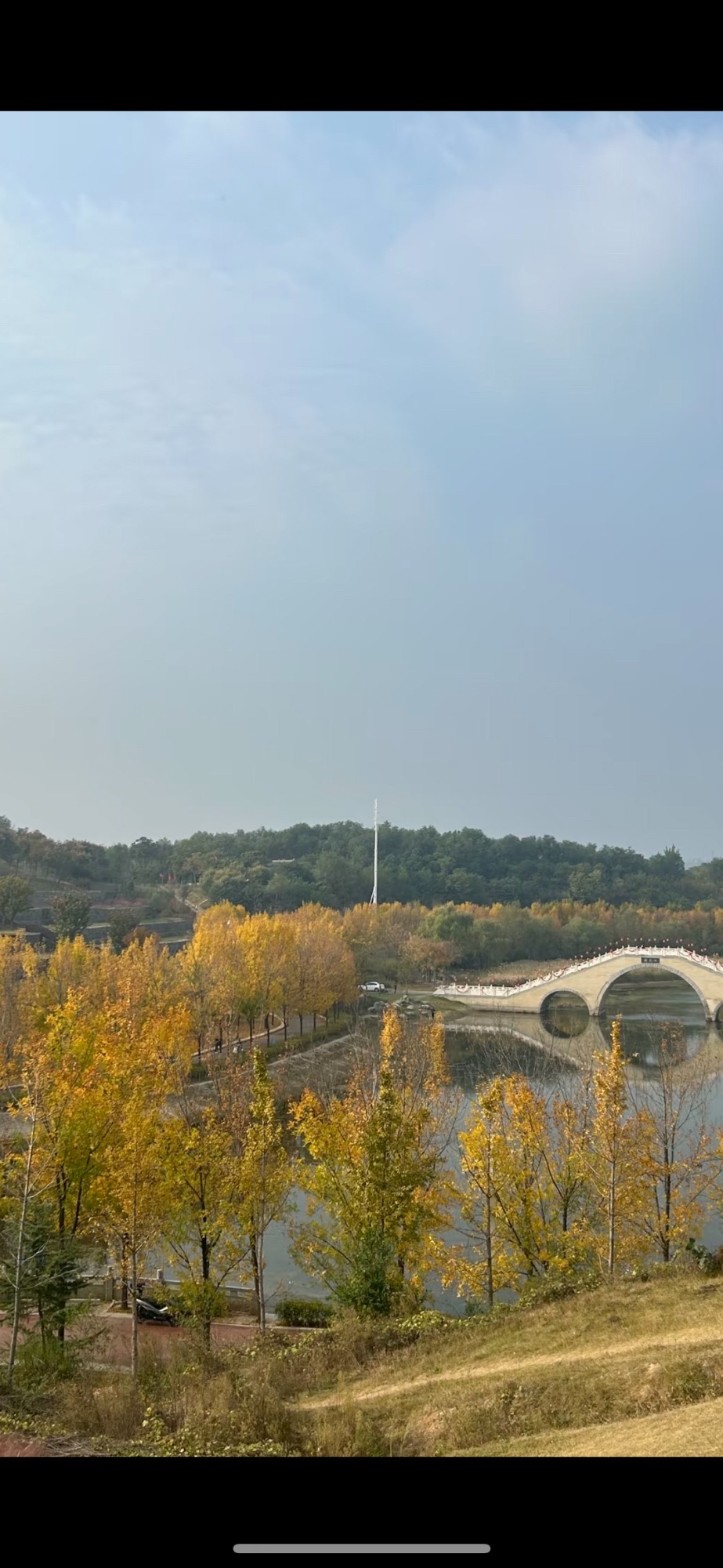 贾鲁河明德岛旅行图片 3