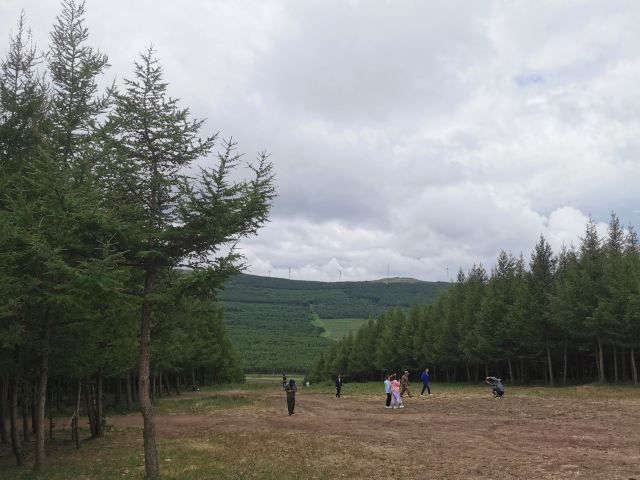 坝上原始草原旅游区(暂停开放)旅行图片 3